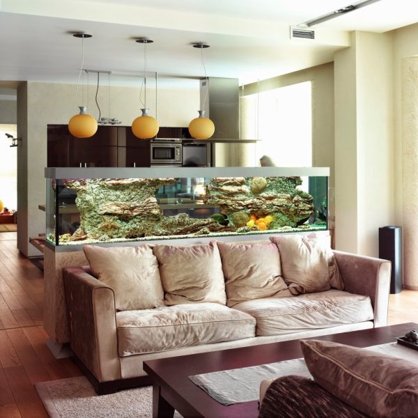 Зонирование кухни и гостиной с помощью аквариума.